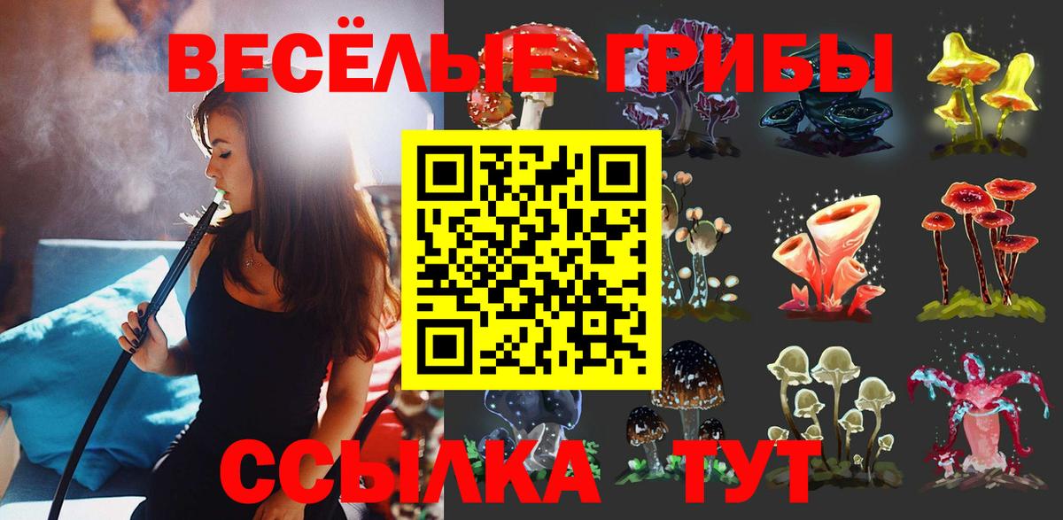 Псилоцибиновые грибы Magic Shrooms  Вход с VPN  Алейск 