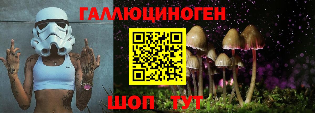 Галлюциногенные грибы ЛСД Алейск